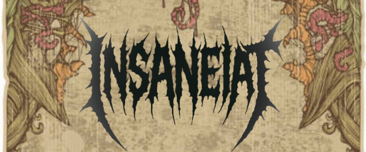 INSANEIAT — LIVE AT ACT 3