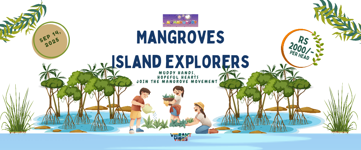 Mangroves Island Explorers