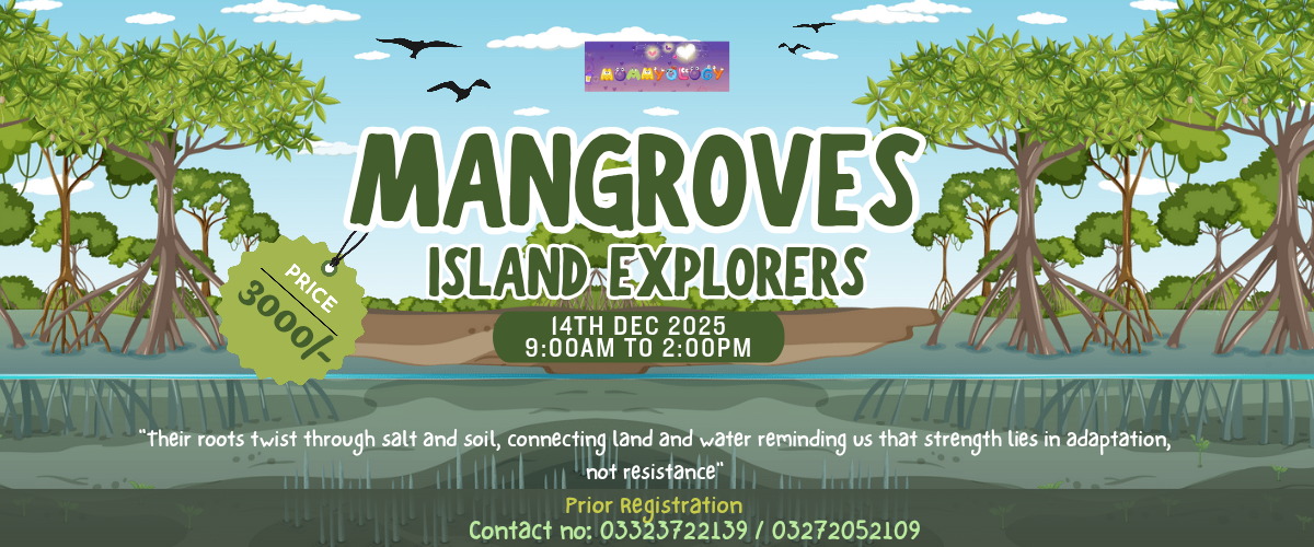 Mangroves Island Explorers