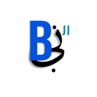 Bibi Gi Organization