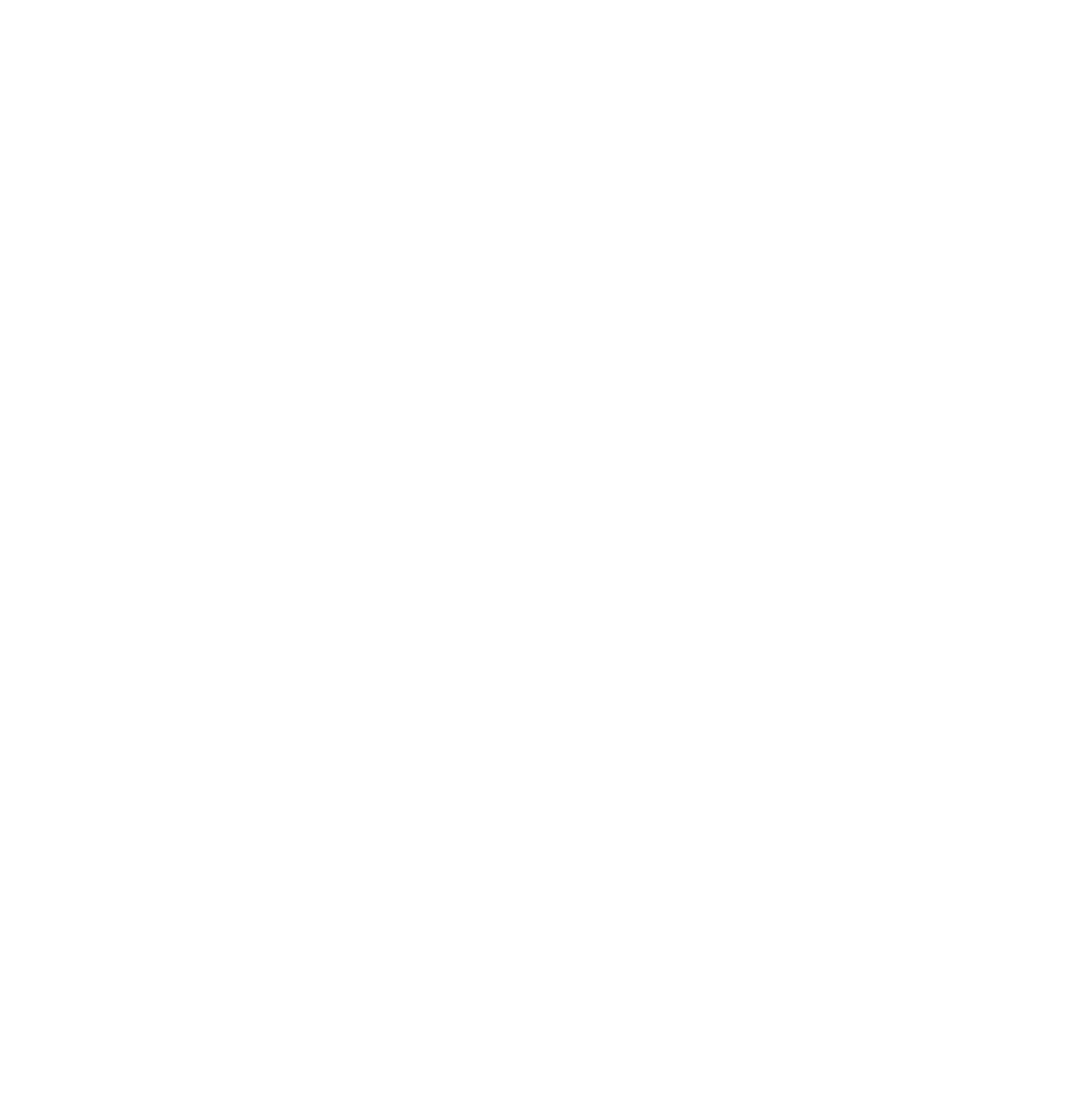 Project Ronaq
